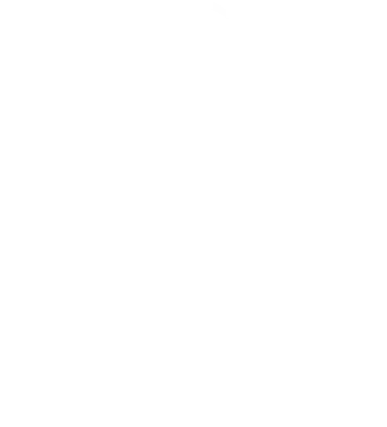 BLUE BEE